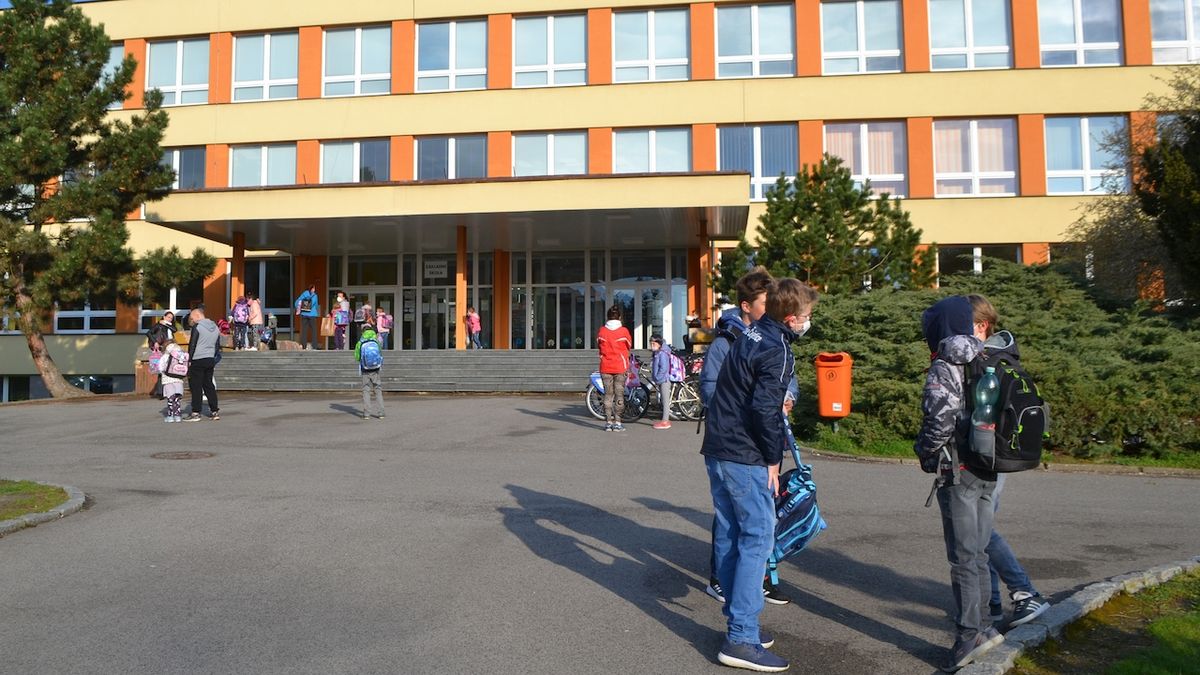 Žáka ve škole v Mladé Boleslavi kousl sklípkan